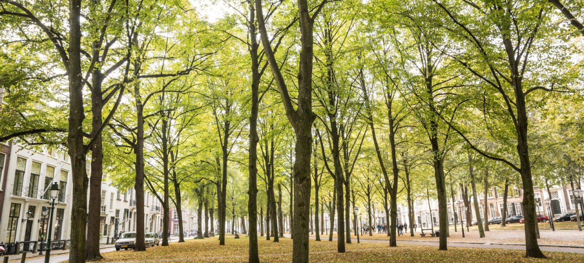 UniKidz Bloemenbuurt