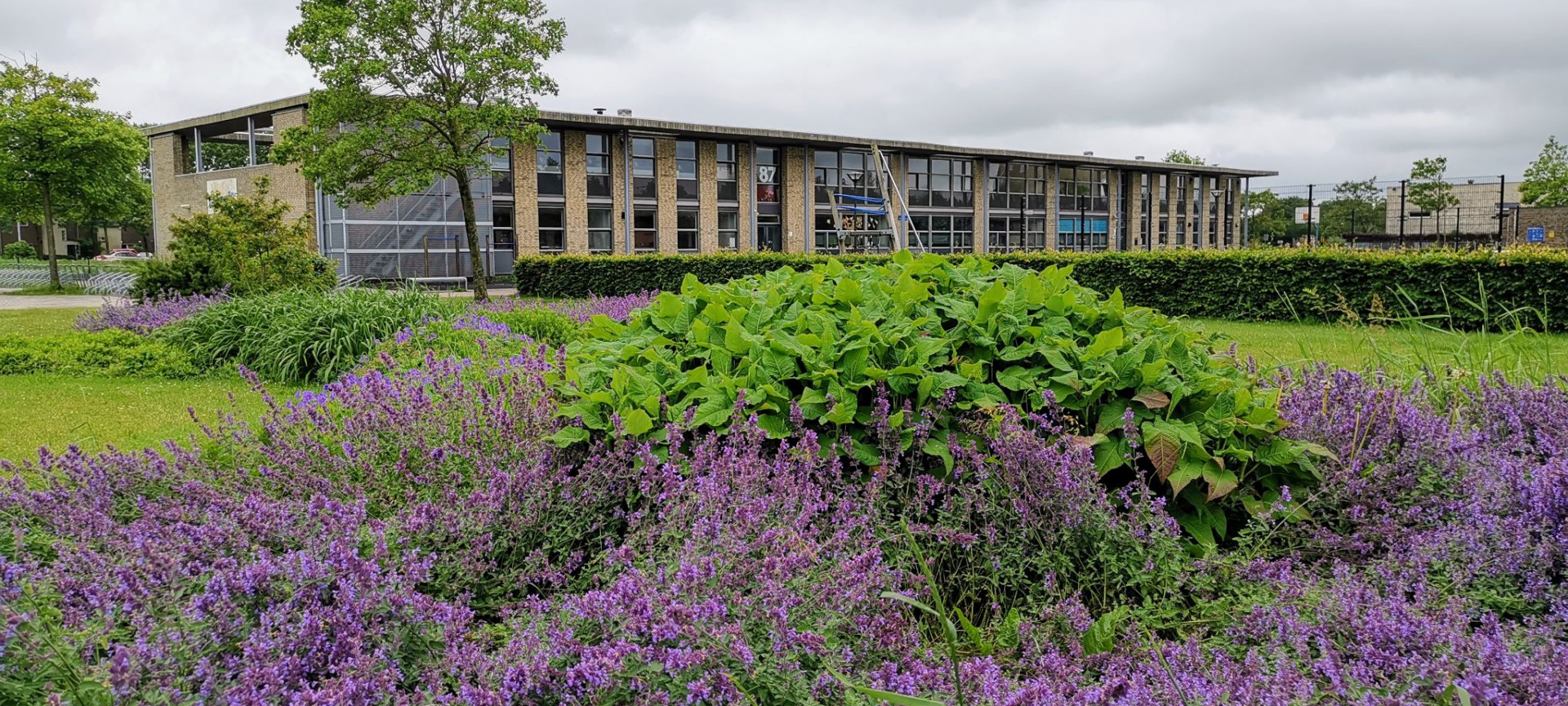 Fotogalerij UniKidz Floriande